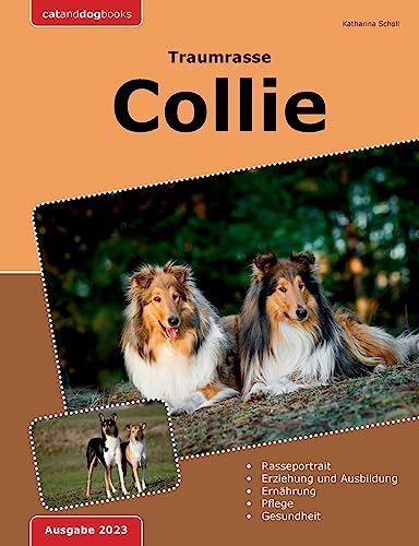 Traumrasse: Collie