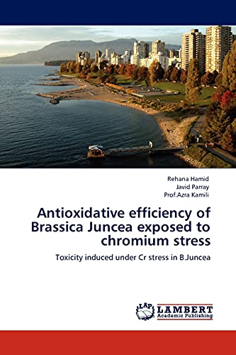 Antioxidative efficiency of Brassica Juncea exposed to chromium stress: Toxicity induced under Cr stress in B.Juncea