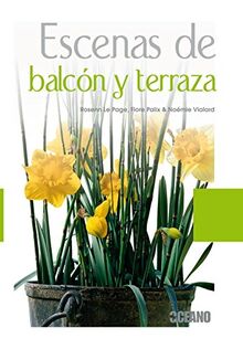 Escenas de balcón y terraza (Manuales ilustrados)