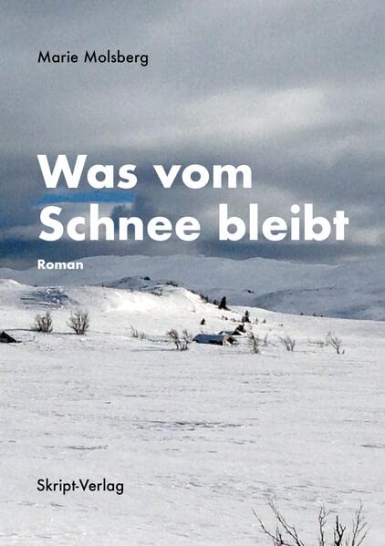 Was vom Schnee bleibt: Roman