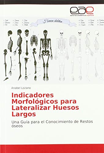 Indicadores Morfológicos para Lateralizar Huesos Largos: Una Guía para el Conocimiento de Restos óseos
