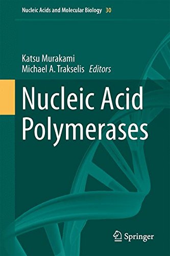 Nucleic Acid Polymerases (Nucleic Acids and Molecular Biology)