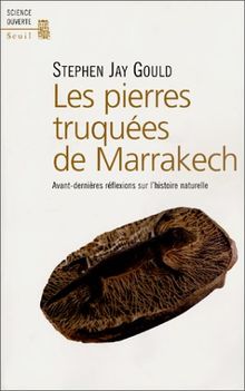 Les pierres truquées de Marrakech : avant-dernières réflexions sur l'histoire naturelle