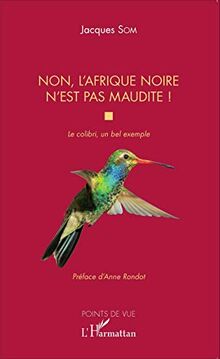 Non, l'Afrique noire n'est pas maudite ! : le colibri, un bel exemple