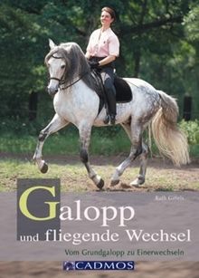 Galopp und fliegende Wechsel: Vom Grundgalopp zum Einerwechsel