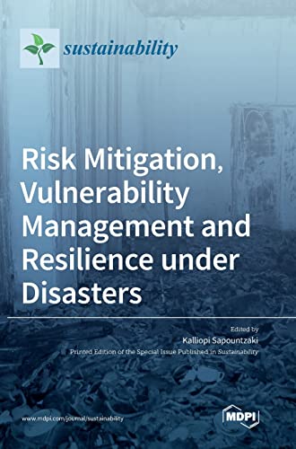 Risk Mitigation, Vulnerability Management and Resilience under Disasters