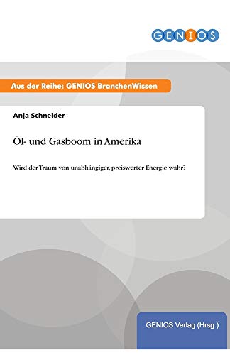 Öl- und Gasboom in Amerika: Wird der Traum von unabhängiger, preiswerter Energie wahr?
