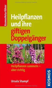 Heilpflanzen und ihre giftigen Doppelgänger: Heilpflanzen sammeln - aber richtig