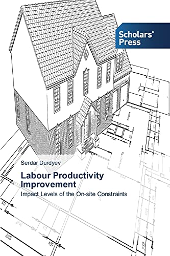 Labour Productivity Improvement: Impact Levels of the On-site Constraints