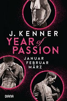 Year of Passion (1-3): Januar. Februar. März. Drei Romane in einem Band (Year of Passion - Bundles, Band 1)