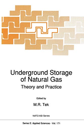 Underground Storage of Natural Gas: Theory and Practice (Nato Science Series E:, 171, Band 171)
