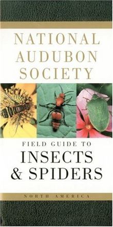 National Audubon Society Field Guide to North American Insects and Spiders (National Audubon Society Field Guides)