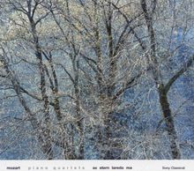 Music for you: Mozart Piano Quartets