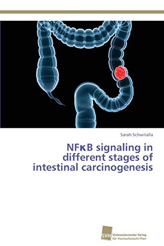 NFκB signaling in different stages of intestinal carcinogenesis