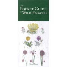 The Pocket Guide to the Wild Flower