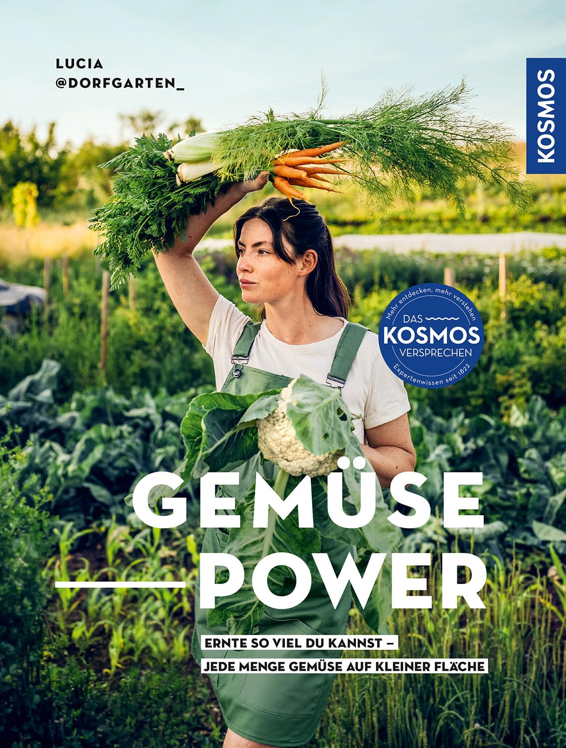 Gemüsepower: Ernte so viel du kannst - jede Menge Gemüse auf kleiner Fläche. Prinzip Market Garden: ressourcenschonend & biointensiv auf kleiner Fläche. Fair, effizient & saisonal in deinem Garten.