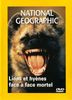 National Geographic : Lions et Hyènes, face à face mortel 