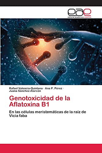 Genotoxicidad de la Aflatoxina B1: En las células meristemáticas de la raíz de Vicia faba