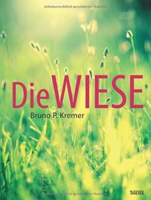 Die Wiese