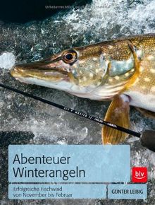 Abenteuer Winterangeln: Erfolgreiche Fischwaid von November bis Februar