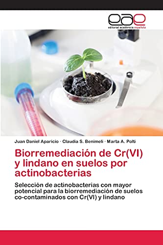 Biorremediación de Cr(VI) y lindano en suelos por actinobacterias: Selección de actinobacterias con mayor potencial para la biorremediación de suelos co-contaminados con Cr(VI) y lindano