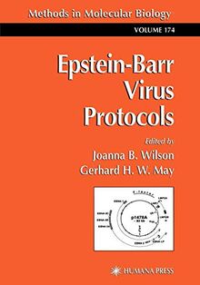 Epstein-Barr Virus Protocols (Methods in Molecular Biology, 174, Band 174)