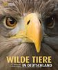 Wilde Tiere in Deutschland: Mit einem Vorwort von Andreas Kieling