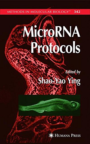 MicroRNA Protocols (Methods in Molecular Biology, Band 342)