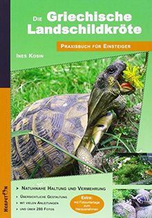 Die Griechische Landschildkröte: Praxisbuch für Einsteiger - Naturnahe Haltung und Vermehrung