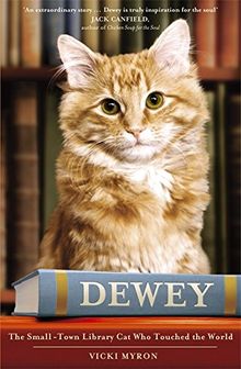 Dewey: The Small-Town Library Cat Who Touched the World