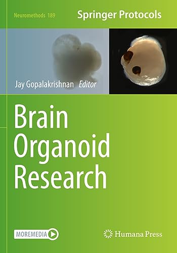 Brain Organoid Research (Neuromethods, 189, Band 189)