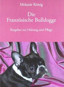 Die Französische Bulldogge: Ratgeber zur Haltung und Pflege