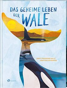 Das geheime Leben der Wale: Sachbuch über Blauwale, Delfine und Orcas, ab 7 Jahren