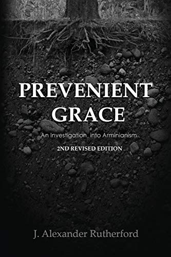 Prevenient Grace: An Investigation into Arminianism - 2nd Revised Edition (Teleioteti Technical Studies, Band 2)