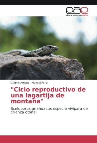 Ciclo reproductivo de una lagartija de montaña: Sceloporus anahuacus especie vivípara de crianza otoñal