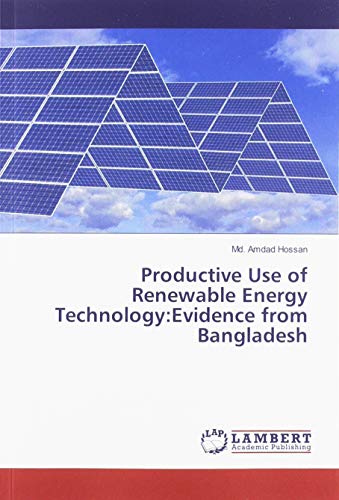 Productive Use of Renewable Energy Technology:Evidence from Bangladesh