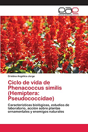 Ciclo de vida de Phenacoccus similis (Hemiptera: Pseudococcidae): Características biológicas, estudios de laboratorio, acción sobre plantas ornamentales y enemigos naturales
