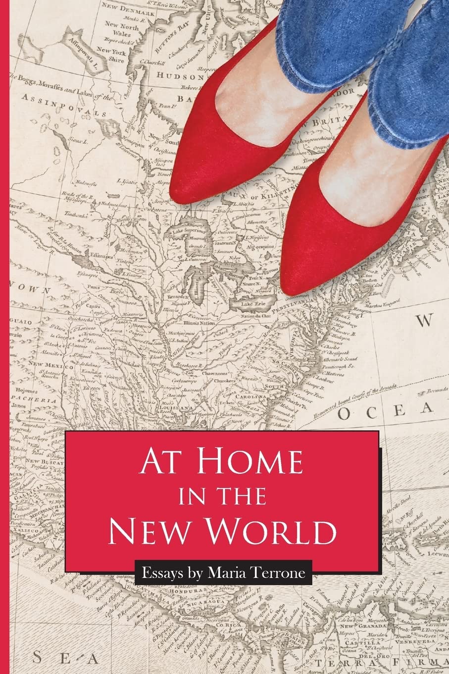 At Home in the New World (Via Foloios, 132, Band 132)