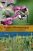 Bienen Mitteleuropas: Gattungen, Lebensweise, Beobachtung