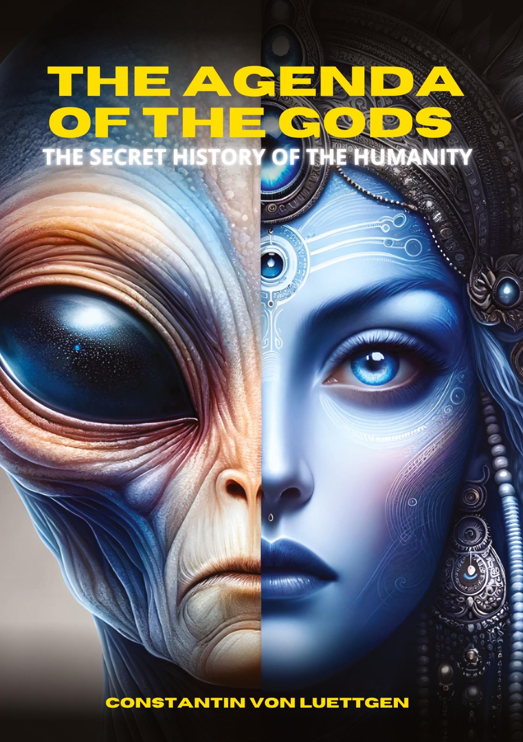 The Agenda of the Gods: The Secret History of the Humanity