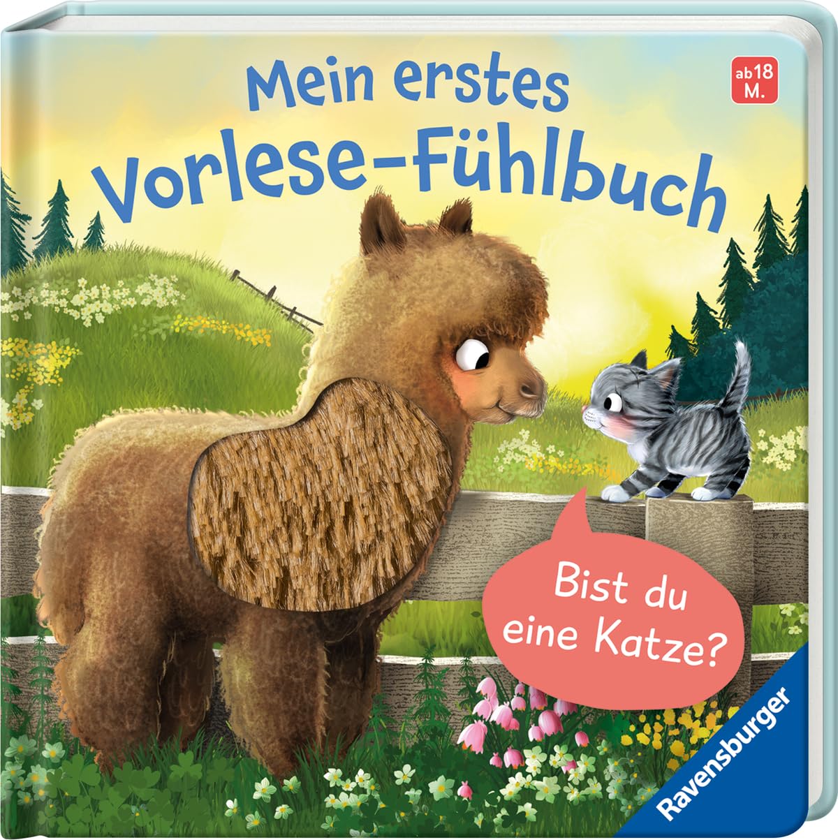 Mein erstes Vorlese-Fühlbuch: Bist du eine Katze? Eine erste Geschichte mit Fühlteilen für Kinder ab 18 Monaten, Kinderbuch