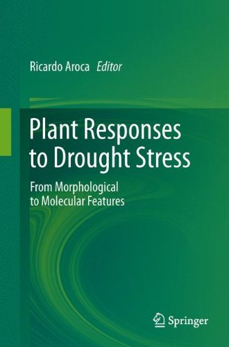 Plant Responses to Drought Stress: From Morphological to Molecular Features