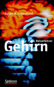 Reiseführer Gehirn