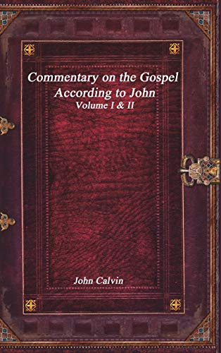 Commentary on the Gospel According to John