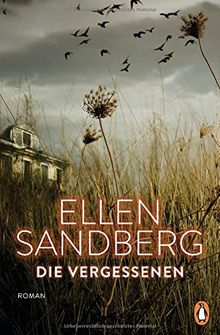 Die Vergessenen: Roman von Sandberg, Ellen | Buch | Zustand gut