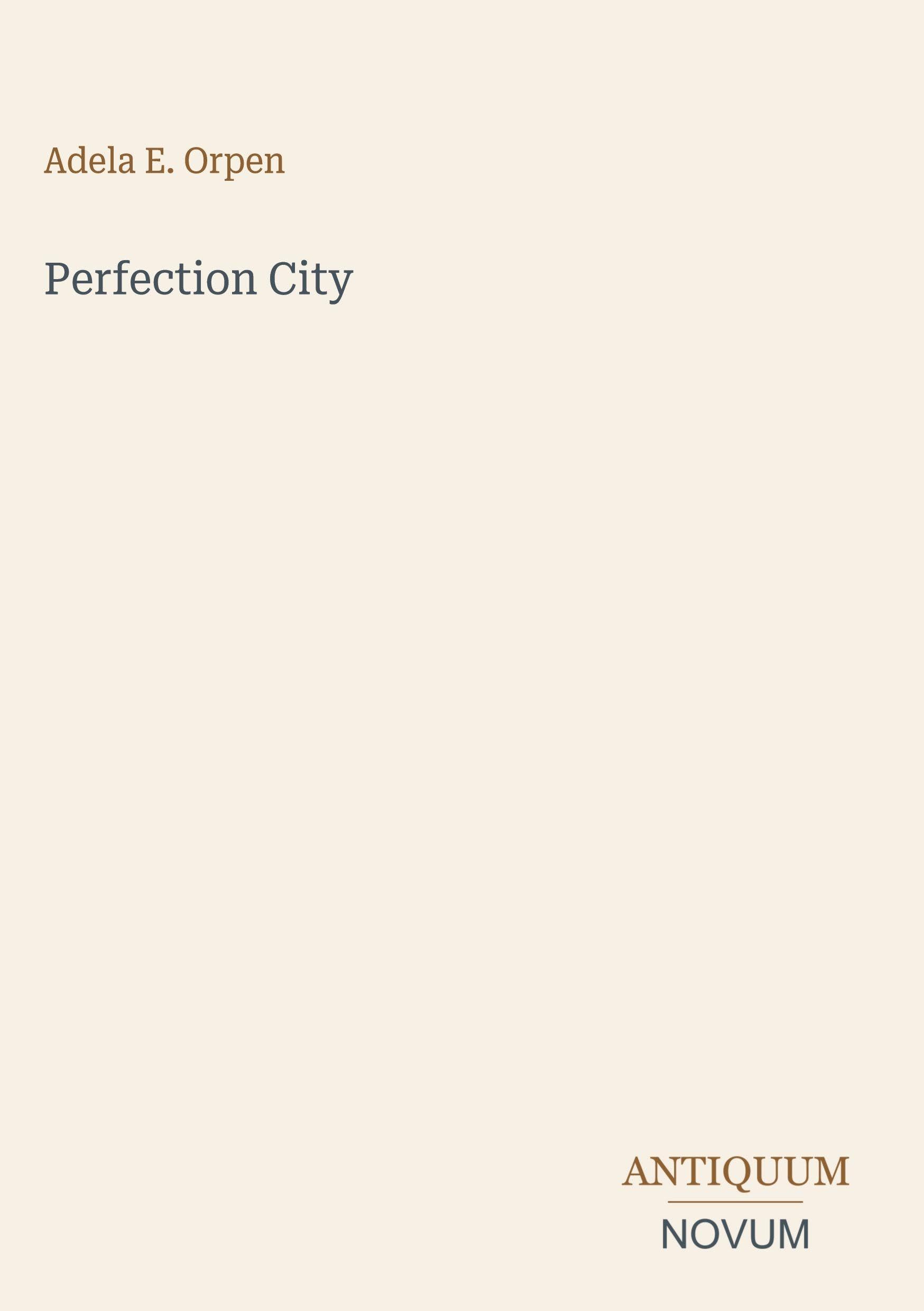 Perfection City