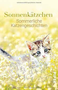 Sonnenkätzchen: Sommerliche Katzengeschichten