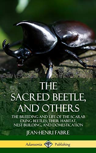The Sacred Beetle, and Others: The Breeding and Life of the Scarab Dung Beetles; their Habitat, Nest-Building, and Domestication (Hardcover)