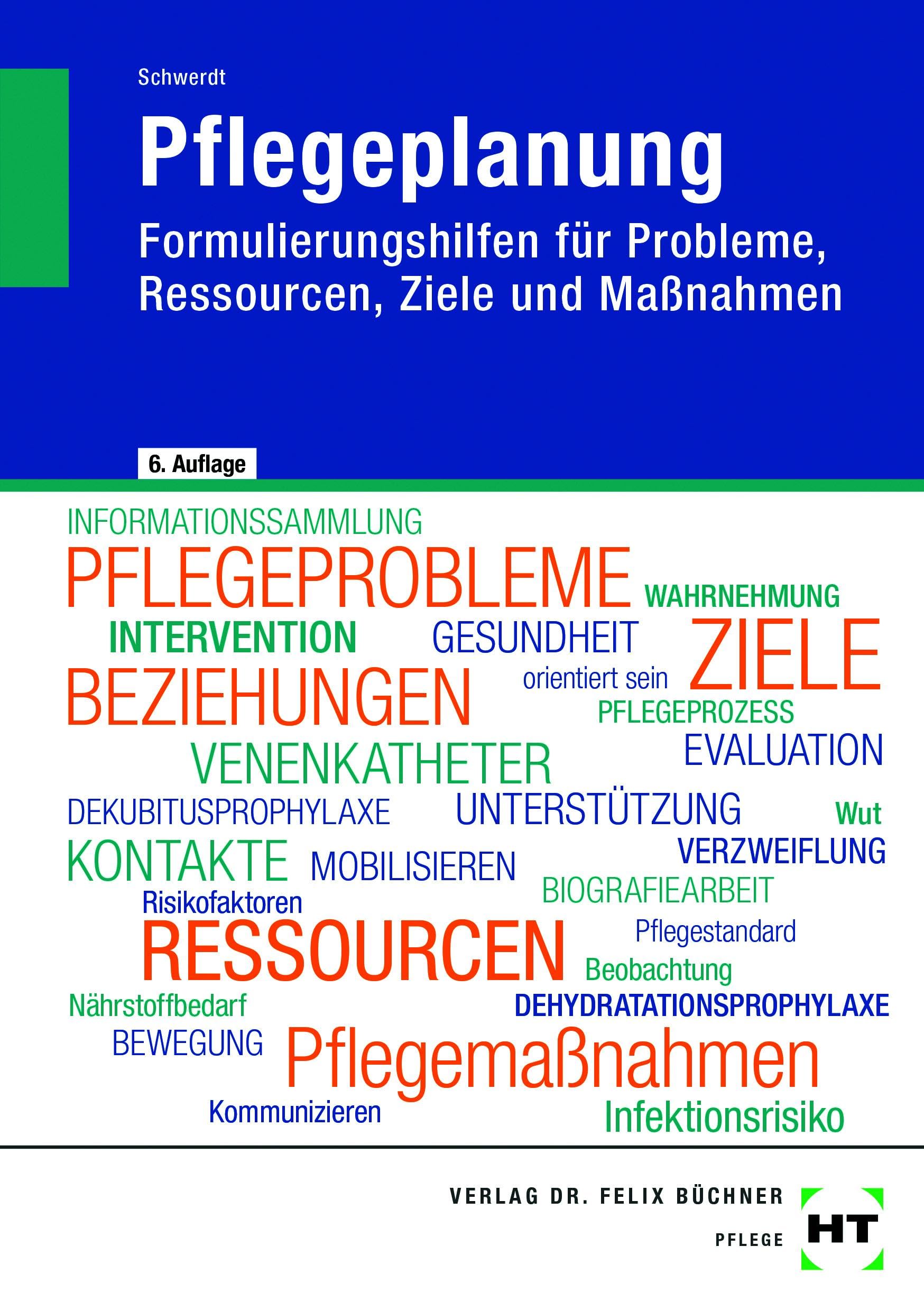 Pflegeplanung: Formulierungshilfen für Probleme, Ressourcen, Ziele und Maßnahmen
