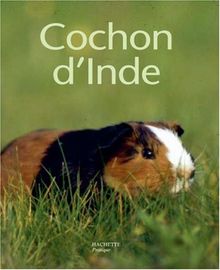 Le Cochon d'Inde